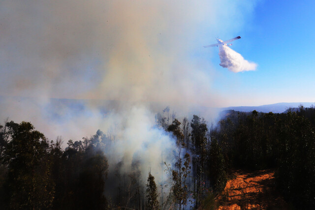 Paine en Alerta Roja por incendio forestal.