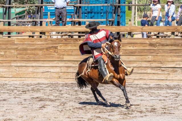 deportistas Duco rodeo