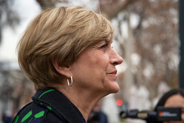 Evelyn Matthei