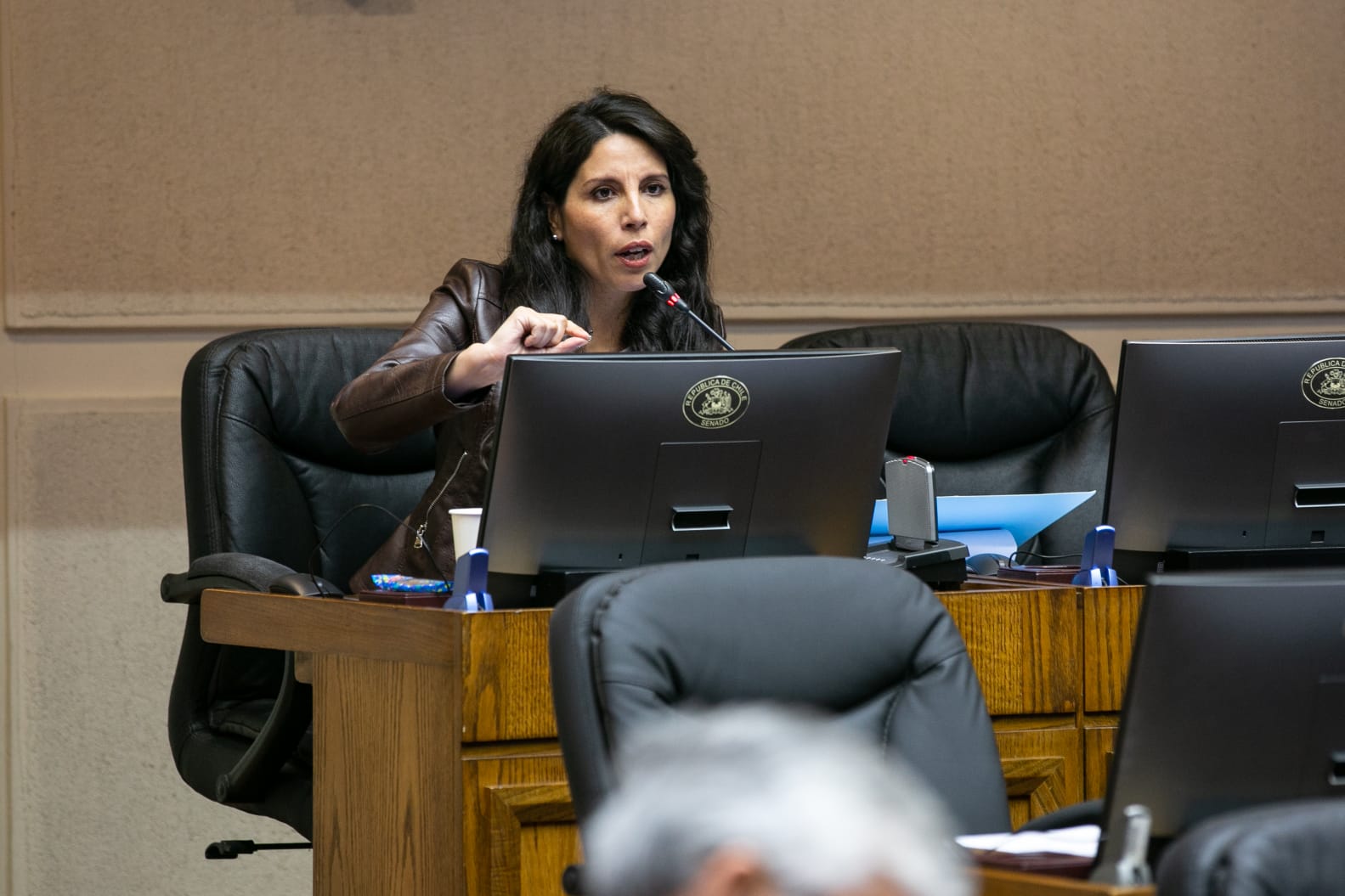 María José Gatica (RN), Senadora de Los Ríos.