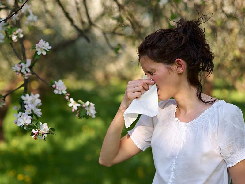 ¿Alérgico a la primavera?