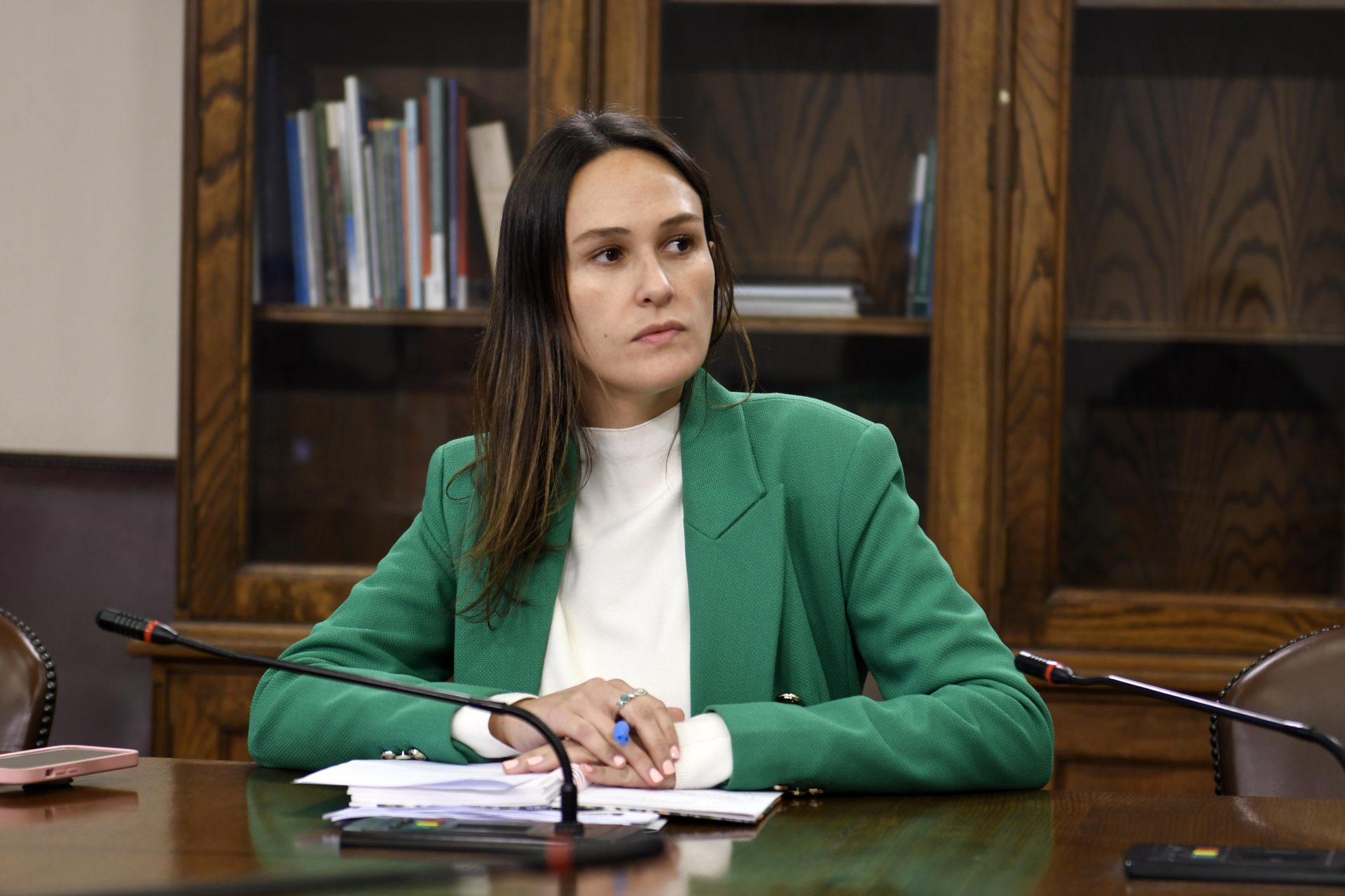 Diputada Paula Labra (IND-RN).