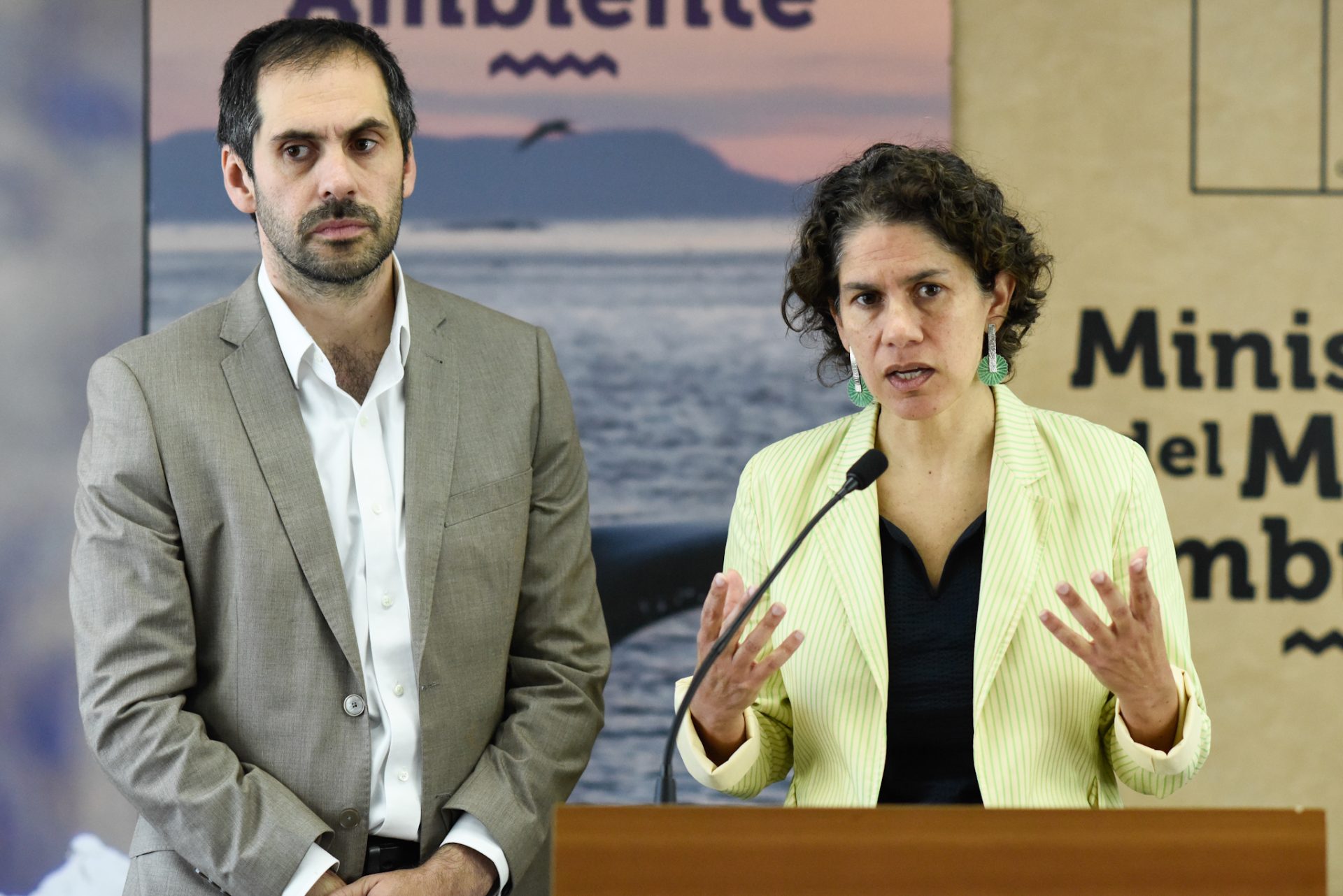 Ministros de Economía y Medio Ambiente se reunieron con salmoneras en casa de Zalaquett.