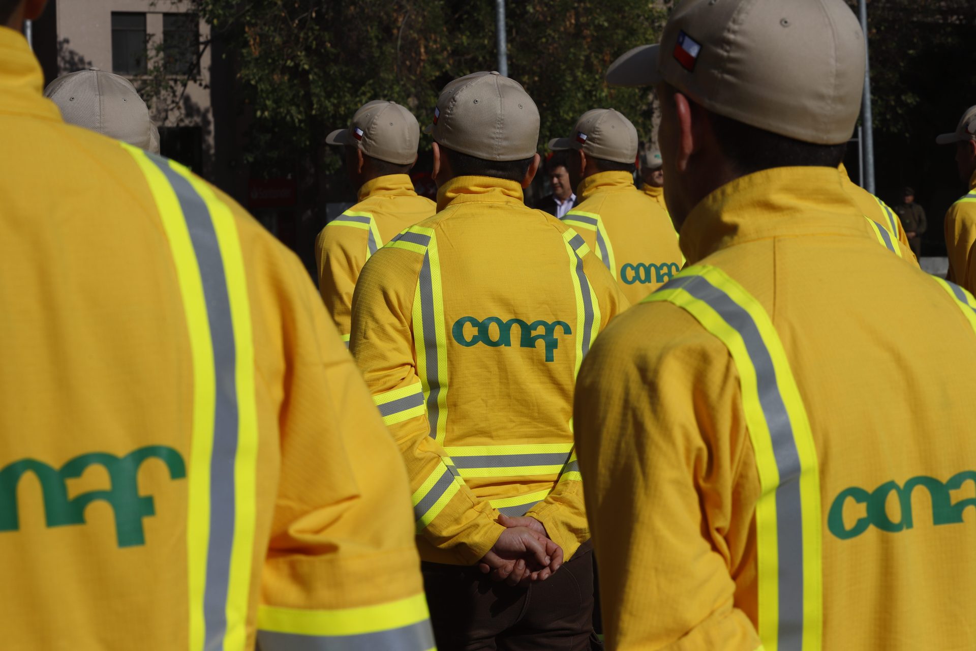 Conaf: Incendios "tienen un carácter de intencionalidad".