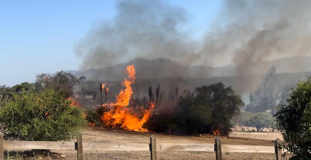 Villa Alemana: Prisión preventiva para imputado de incendio.