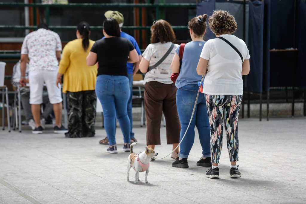 Perritos constitucionales