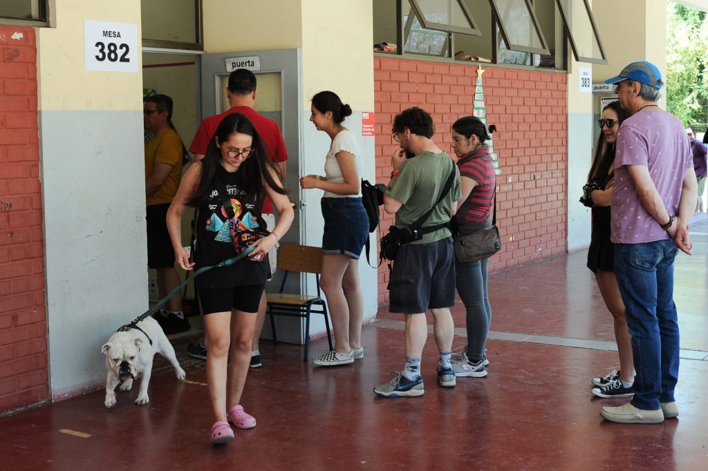 Perritos constitucionales