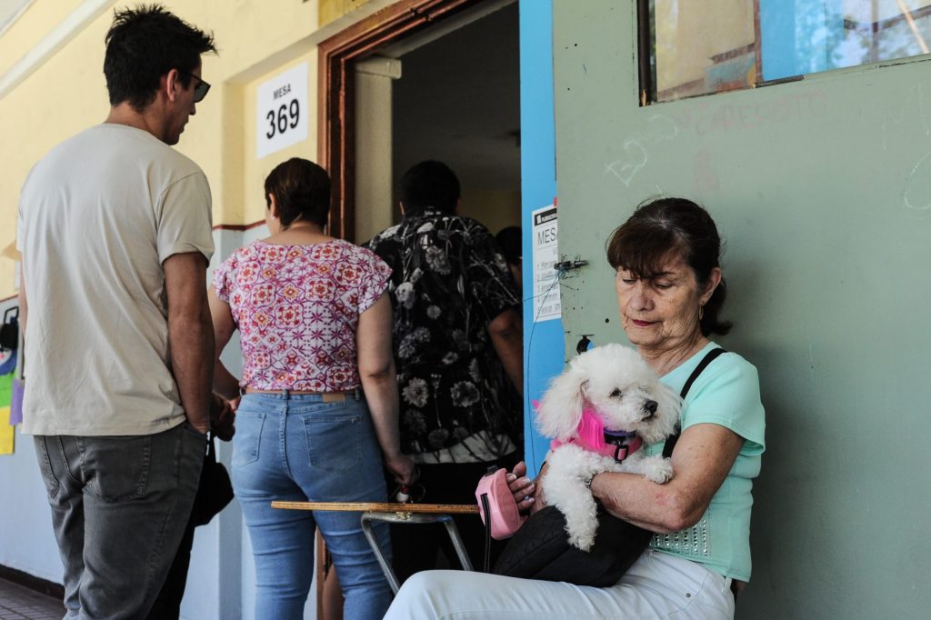 Perritos constitucionales