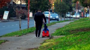 deudas de pensión de alimentos