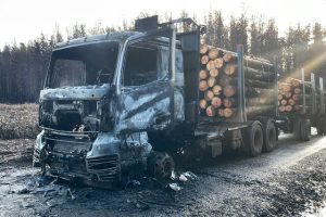 Un automóvil fue incendiado en la mañana de hoy miércoles en el acceso al viaducto Malleco en Collipulli, después de que delincuentes amenazaran tanto al conductor como a los trabajadores que este último transportaba.