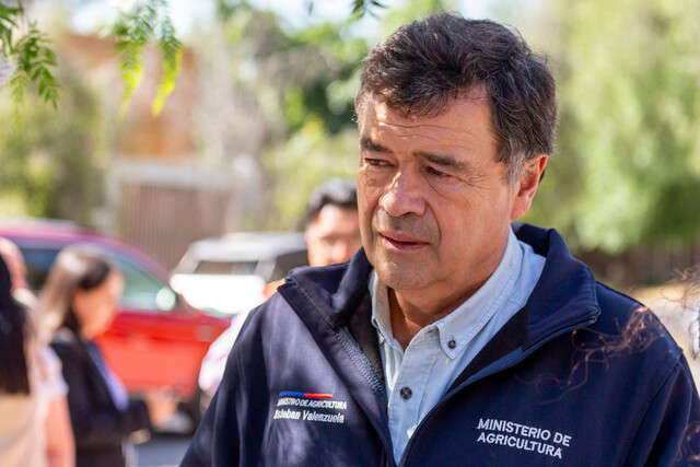 El ministro de Agricultura, Esteban Valenzuela, afirmó que detrás de los devastadores incendios forestales que golpearon la región de Valparaíso a principios de este mes existe una "una clara organización criminal".