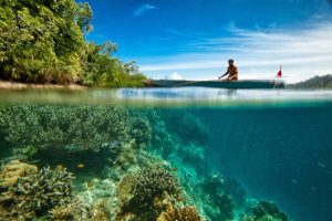 punto de inflexión climático