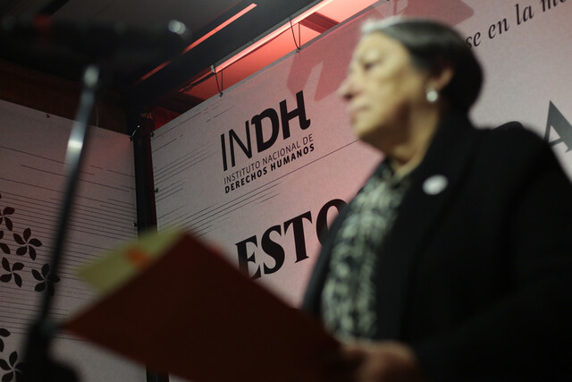 Directora del INDH: "Nos preocupa que por mayor seguridad, haya restricción de derechos".