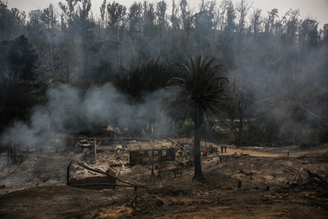 La Asociación Nacional de Televisión ha anunciado mediante un comunicado que el próximo sábado 10 de febrero llevarán a cabo una transmisión en cadena denominada "Teletón por Viña", en respuesta a los devastadores incendios forestales que han arrasado con miles de hectáreas en la región de Valparaíso.