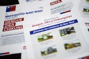 Brasil en alerta por aumento de casos de dengue