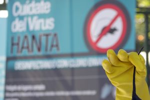Paso hantavirus