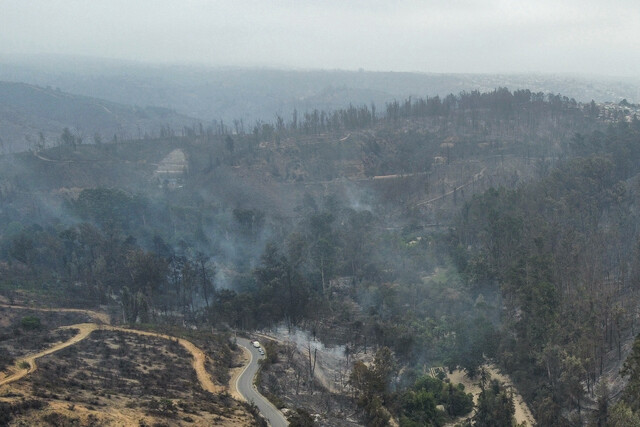 Las regiones centro-sur de Chile se encuentran actualmente en medio de una crisis ambiental debido a la expansión de incendios forestales, los cuales han cobrado la vida de más de 100 personas en la zona de Valparaíso y el humo ha afectado a las personas.