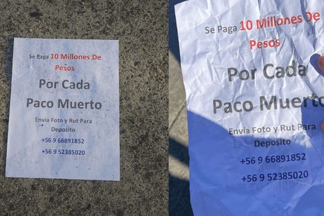 10 millones de pesos por cada paco muerto