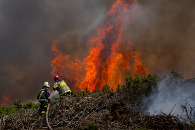 Falsos damnificados por incendios: El otro hallazgo de la ficha FIBE