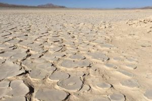 Descubren biosfera oculta bajo el desierto de Atacama