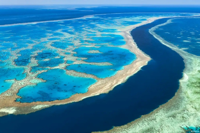 Gran Barrera de Coral sufre blanqueamiento masivo