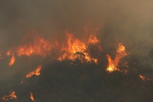 Incendio forestal: Declaran alerta roja en Villarrica