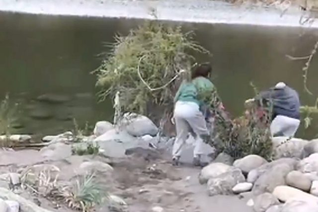 La difusión del vídeo compartido por la cuenta @tuiterosismico generó rabia e impotencia en redes sociales, mostrando a una joven empujando a un adulto mayor a un río supuestamente por estar en la "propiedad privada" de su camping en Linares, Región del Maule.