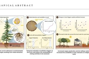 Estudio revela alta concentración de metales tóxicos en el norte producto del auge de la minería