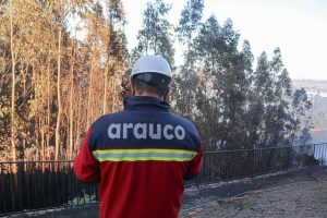 Forestal Arauco suspende operaciones de aserradero en Curanilahue