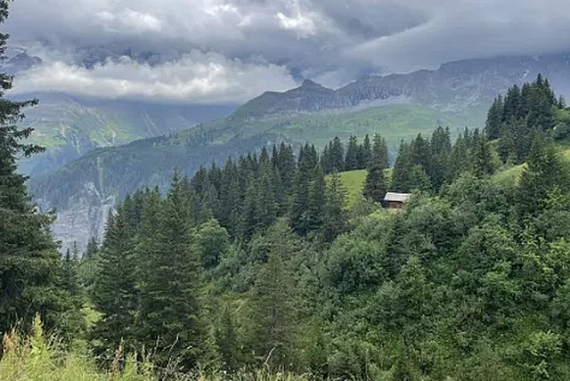 Una joven que aparentemente creció en un bosque en Suiza, alejada de cualquier contacto social, fue encontrada en Coín, una localidad española en Málaga, después de que su padre huyera del país con ella y sus hermanas, lo que llevó a las autoridades suizas a emitir una orden internacional de búsqueda para retirarla de la custodia paterna.