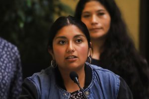 Polémica en el Congreso: Diputados no dejaron ingresar al hemiciclo a hija de Camila Rojas