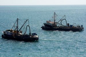 Detectan embarcación extranjera pescando en aguas nacionales