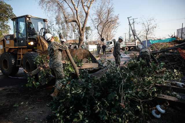 Militares se desplegarán para remover árboles y escombros