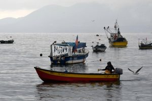 El sector artesanal, representado en el Comité de Manejo de la Sardina y Anchoveta desde Valparaíso hasta Los Lagos, ha manifestado su oposición al proyecto de la nueva Ley de Pesca, sumándose a las críticas de la industria.