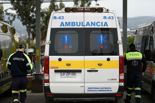 Apuñalan a hombre acusado de maltrato animal en Valparaíso