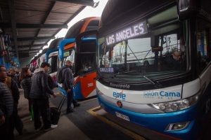 Conozca las líneas de buses que acumulan más multas en 2024