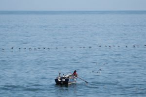 pescador en Magallanes