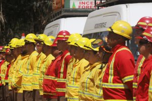 La Corporación Nacional Forestal (Conaf) está llevando a cabo coordinaciones con el sector público y privado para enfrentar la temporada de incendios forestales en La Araucanía, donde ya se han registrado alrededor de diez siniestros.