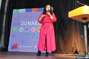 renuncia directora Junaeb