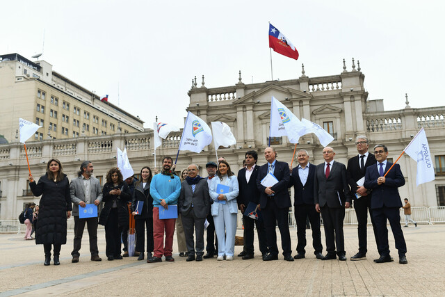 Organización de Profesionales del Estado de Chile