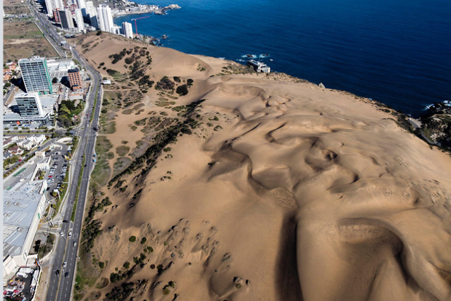 Dunas de Viña del Mar: Municipio emite prohibición de edificar