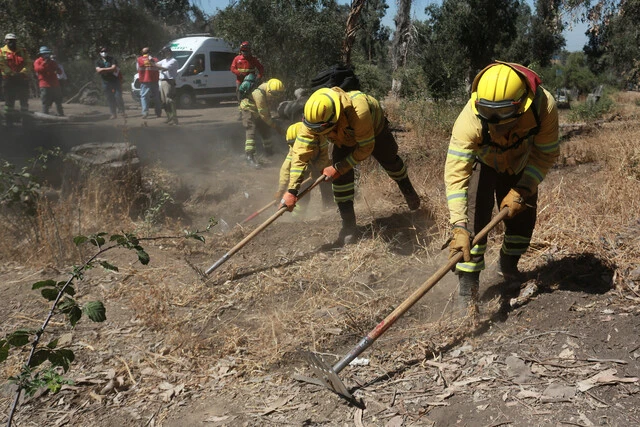 plan nacional de cortafuegos