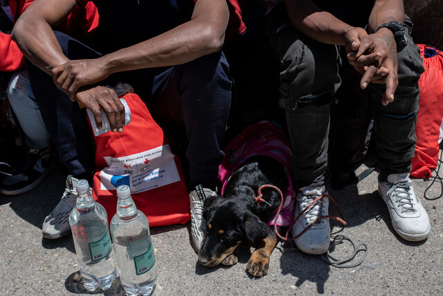 tráfico de migrantes