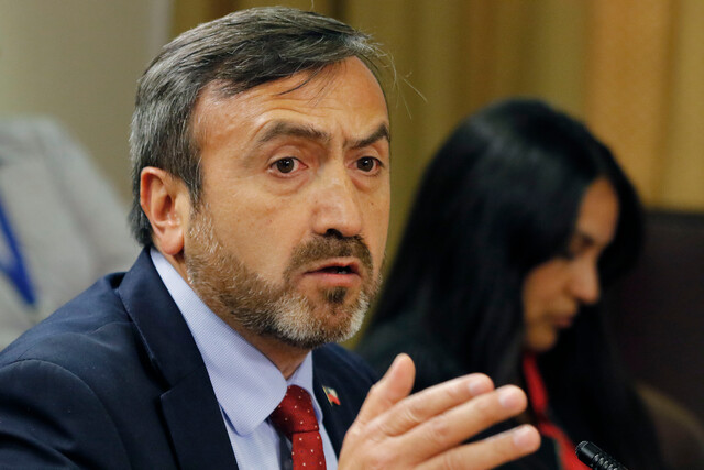 diputado