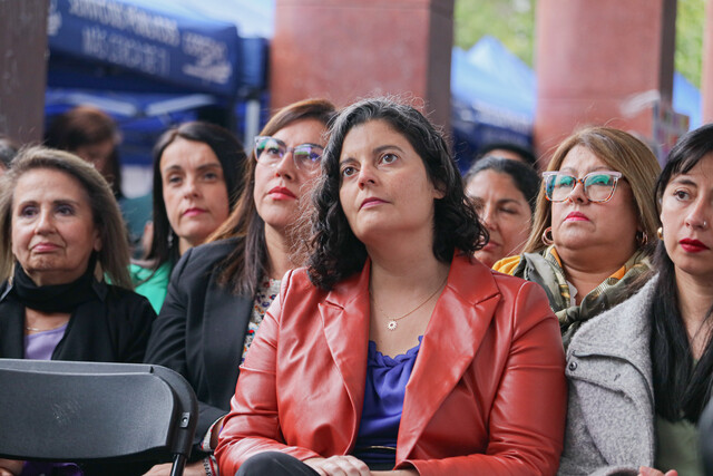 delegada presidencial