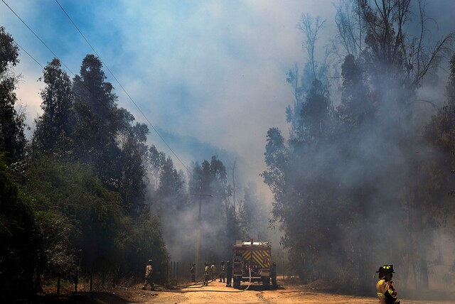 incendios diputados