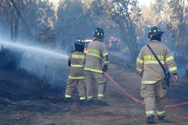 incendios forestales en Valparaíso