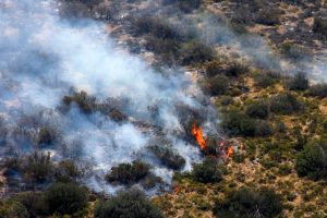 Alerta roja La Araucanía