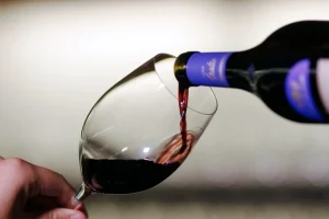 vinos piscos chilenos