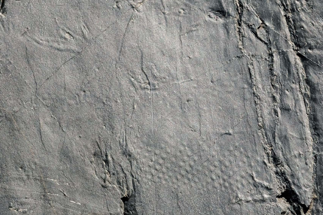 fósiles deshielo Alpes